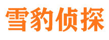 丰南市调查公司